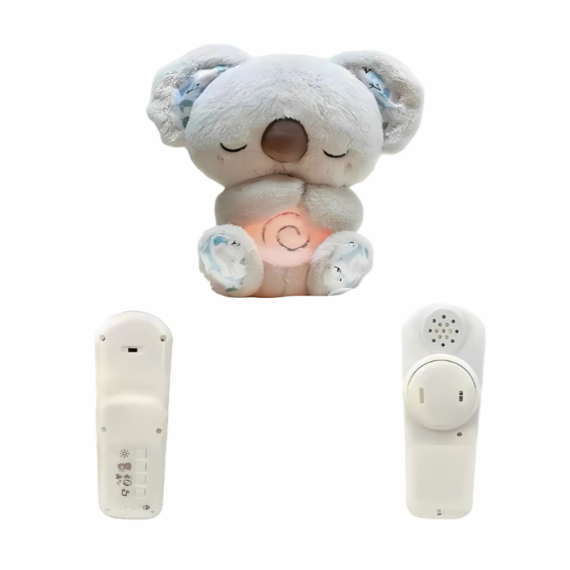 Buddy Teddy