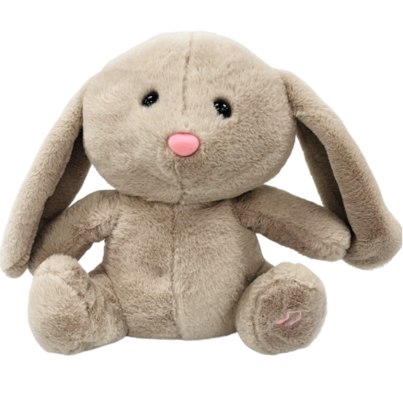 Buddy Bunny